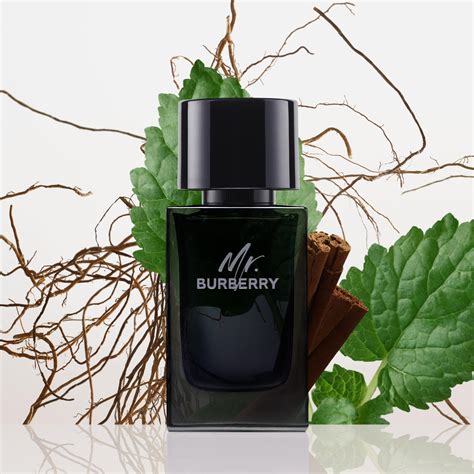 mr burberry yodeyma|mr burberry eau de parfum.